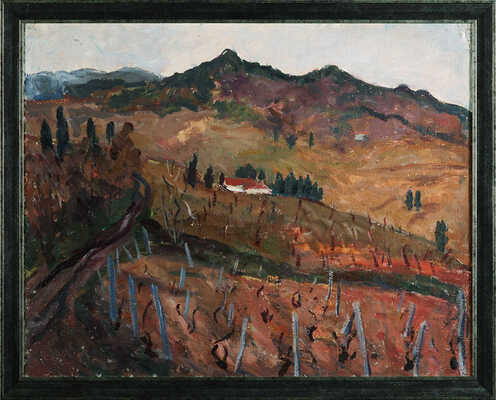 Стеньшинская Нина Сергеевна. Виноградники